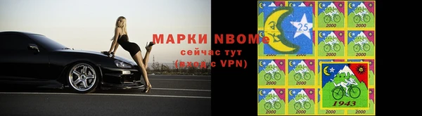 хмурый Алзамай