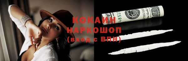 хмурый Алзамай