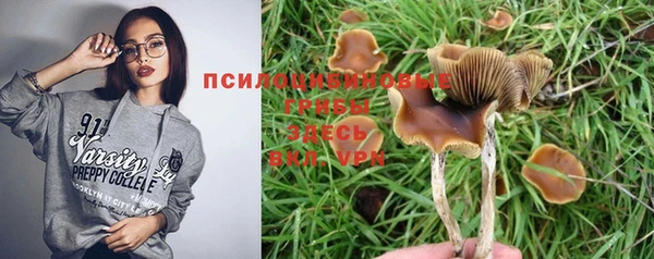 стафф Алексеевка