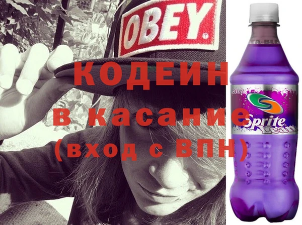хмурый Алзамай